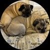2pug_clothier